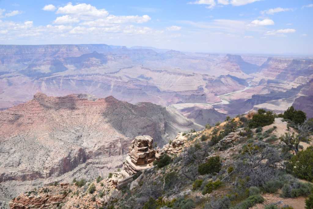 DSC_0163Mittel_.JPG